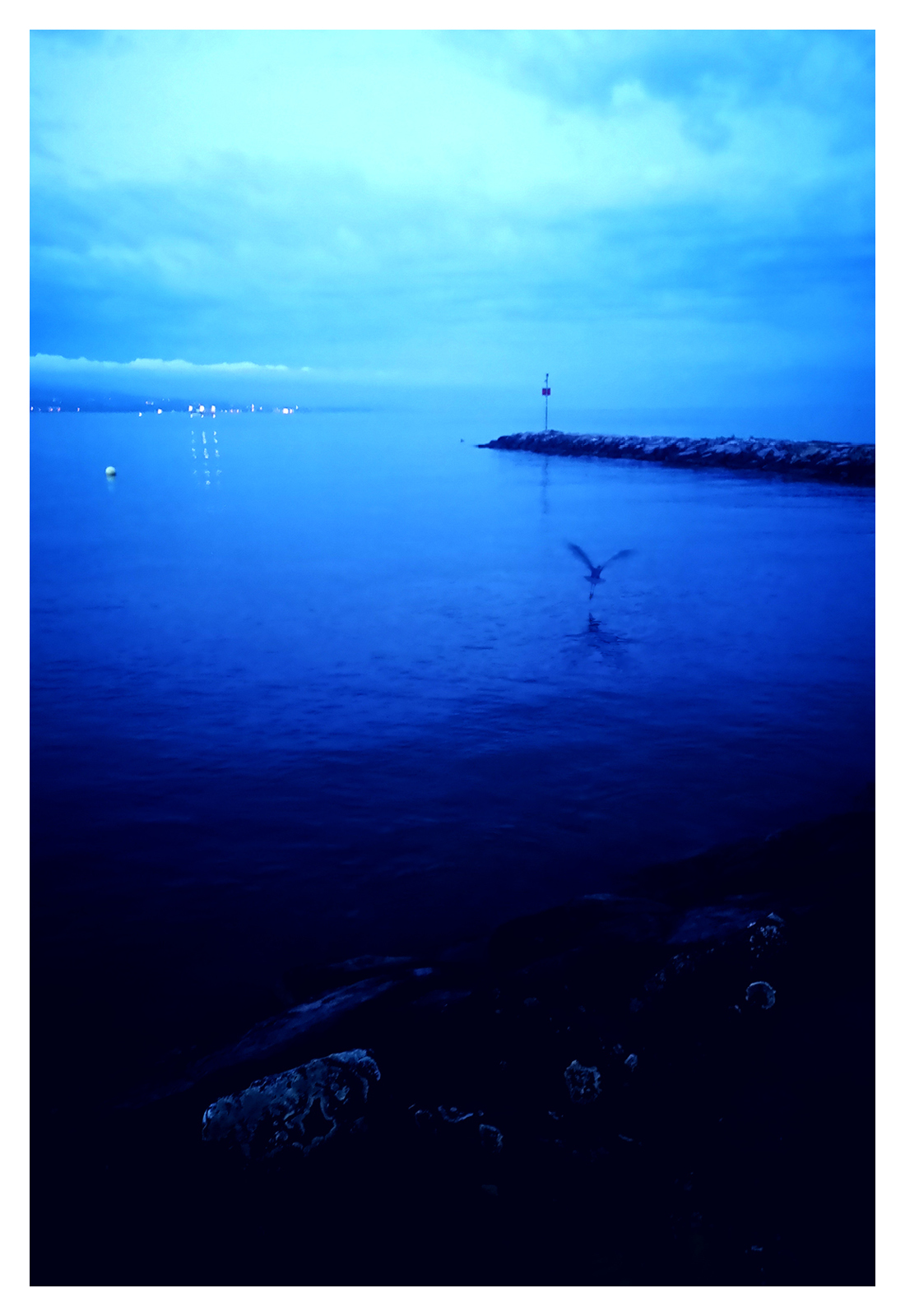 Jaoulma_echallens_artiste_Suisse_16